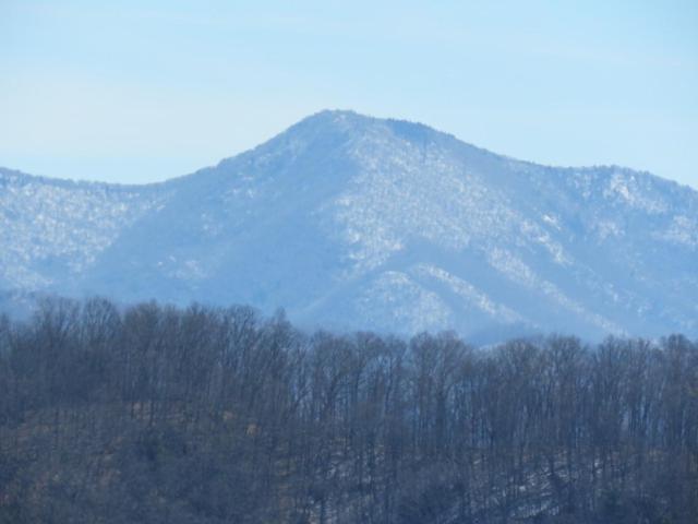Serenity Views Comfort - Close To City & Parkway! Weaverville Dış mekan fotoğraf