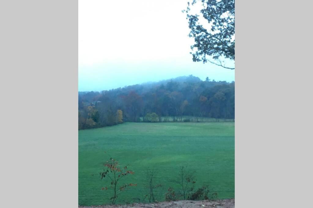 Serenity Views Comfort - Close To City & Parkway! Weaverville Dış mekan fotoğraf