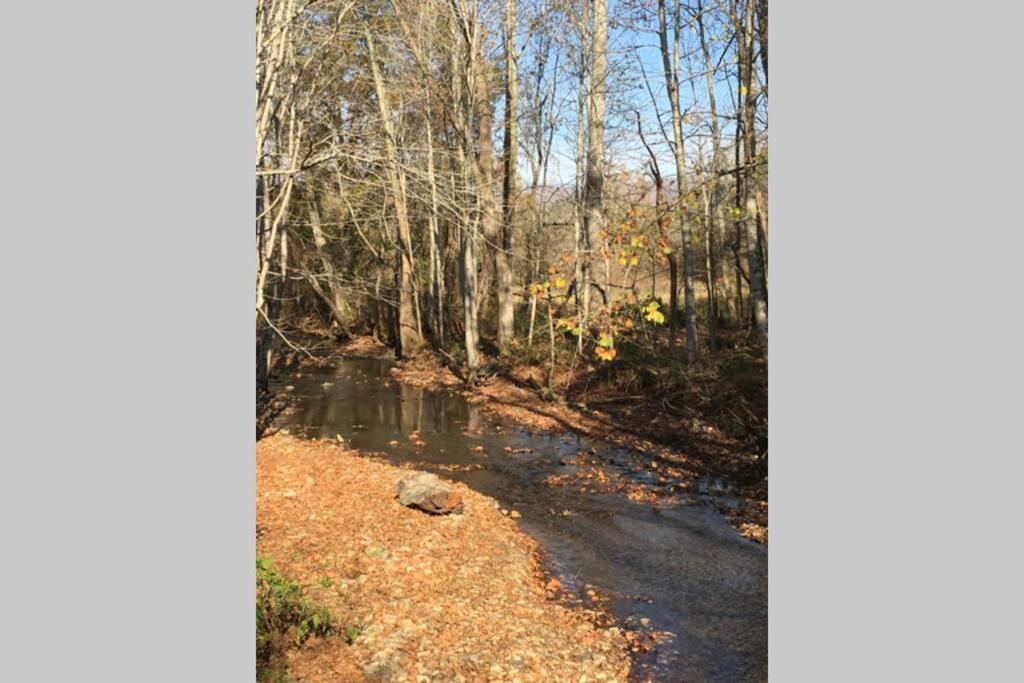 Serenity Views Comfort - Close To City & Parkway! Weaverville Dış mekan fotoğraf